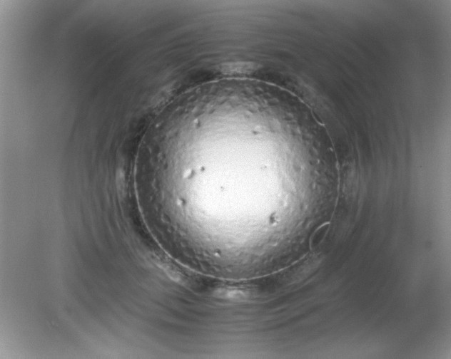 X0000081610655200701291428