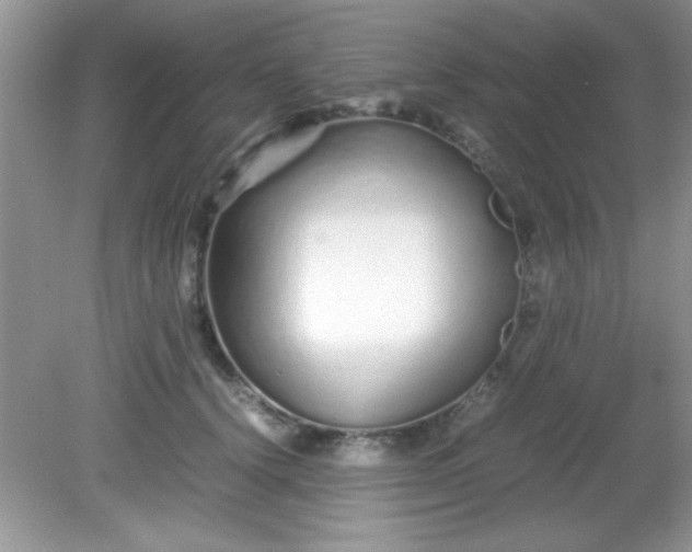 X0000081610656200701291428