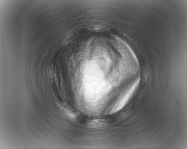 X0000081610657200701291428