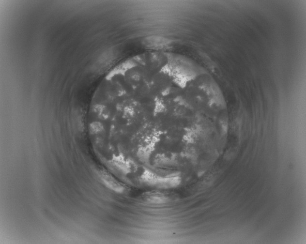 X0000081610658200701291428