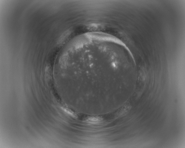 X0000081610659200701291428