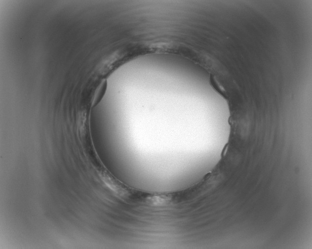 X0000081610660200701291428