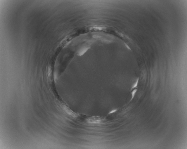 X0000081610661200701291428