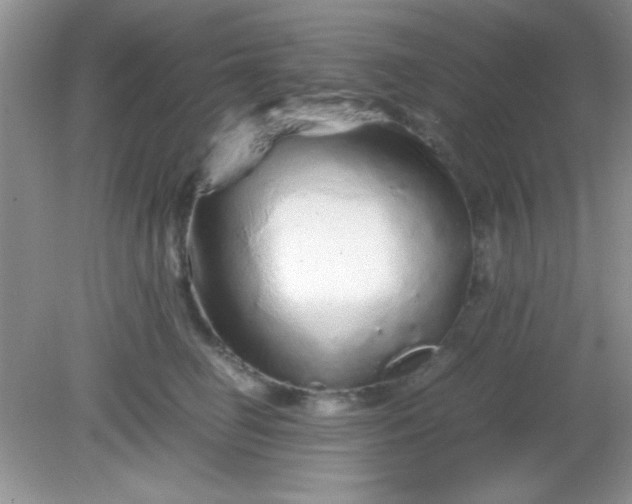 X0000081610662200701291428