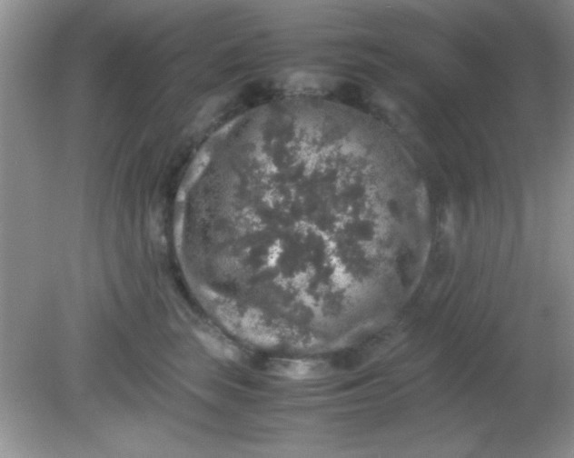 X0000081610663200701291428