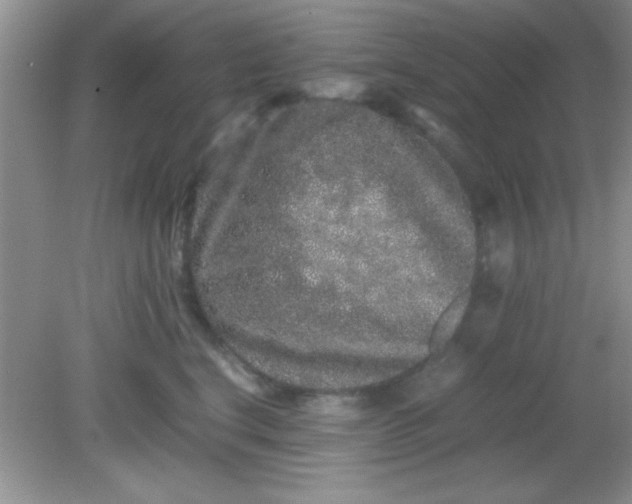 X0000081610664200701291428