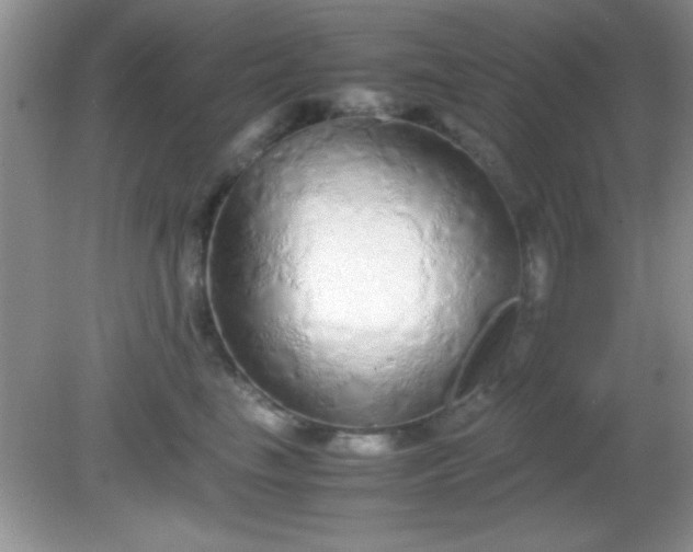 X0000081610665200701291428