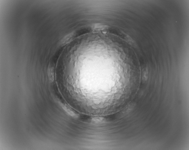 X0000081610666200701291428