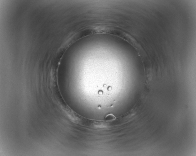 X0000081610667200701291428