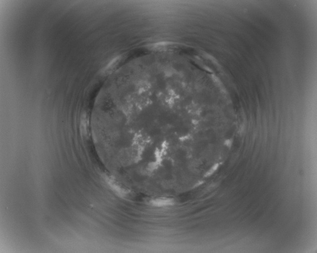 X0000081610669200701291428