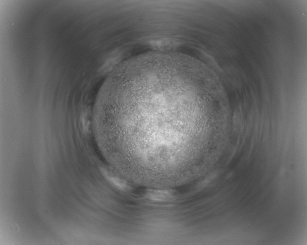 X0000081610671200701291428