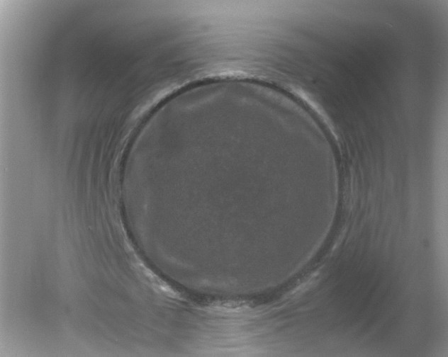 X0000081610673200701291428