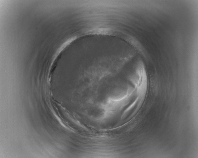 X0000081610674200701291428