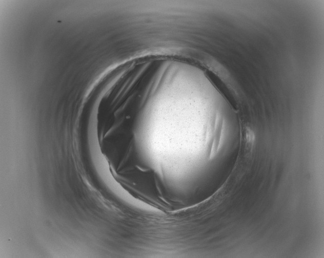 X0000081610676200701291428