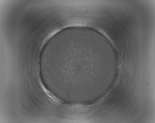 X0000081610677200701291428