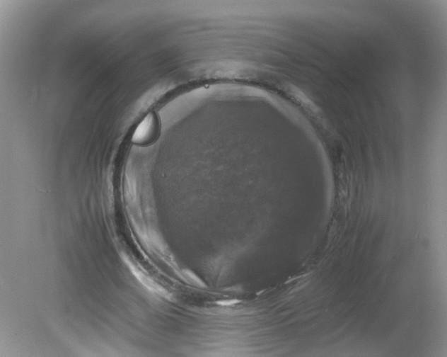 X0000081610678200701291428