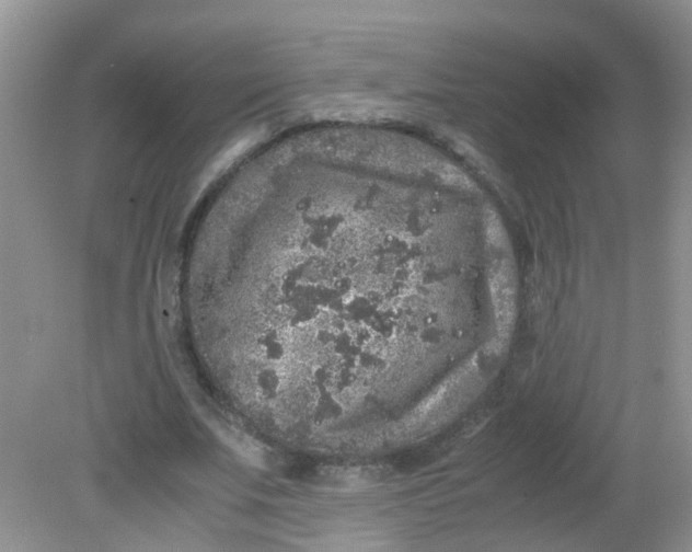 X0000081610679200701291428