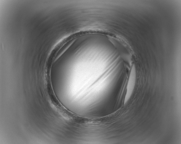 X0000081610680200701291428