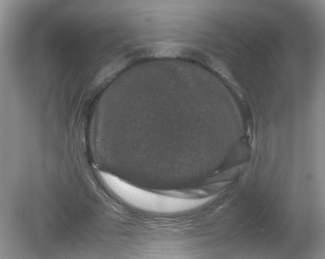 X0000081610681200701291428