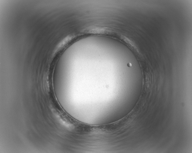 X0000081610682200701291428