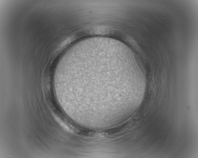 X0000081610683200701291428