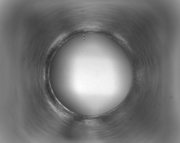 X0000081610686200701291427