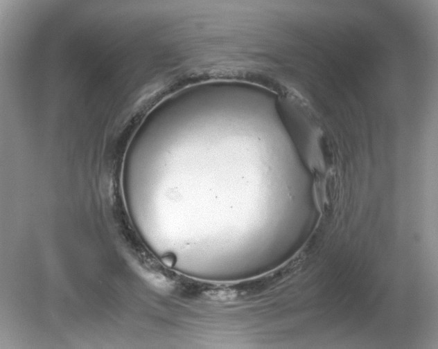 X0000081610687200701291427