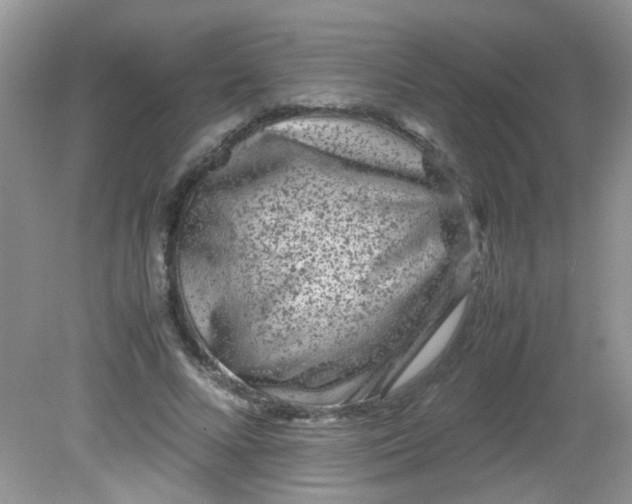 X0000081610688200701291427