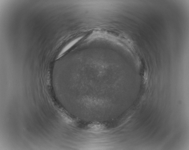 X0000081610689200701291427