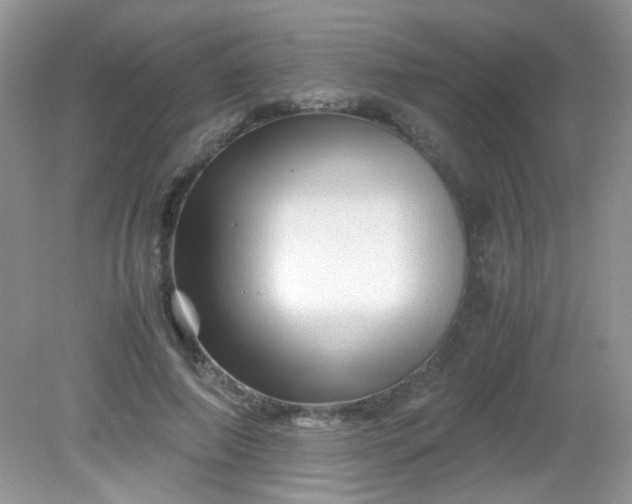 X0000081610690200701291427