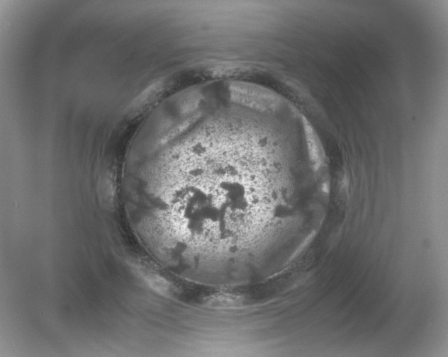 X0000081610691200701291427