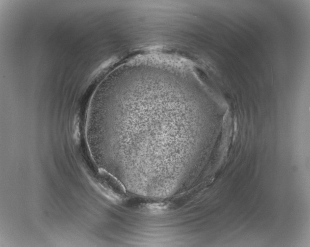 X0000081610692200701291427