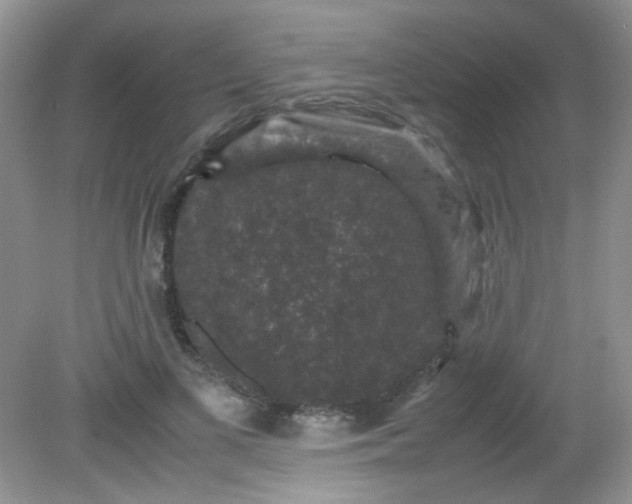 X0000081610693200701291427