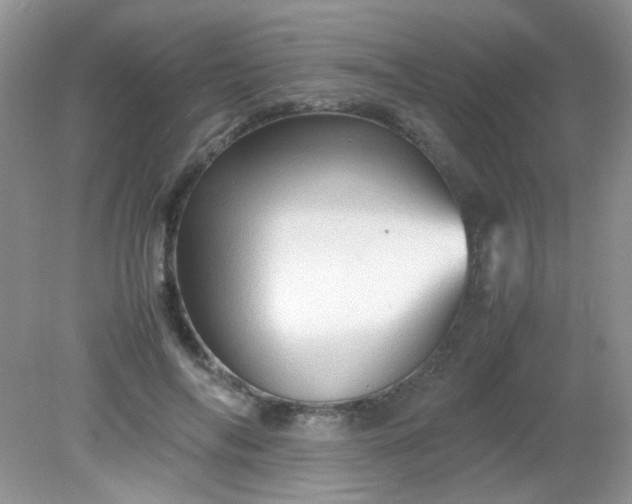 X0000081610694200701291427