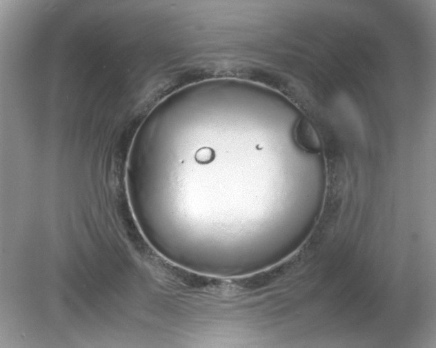 X0000081610695200701291427