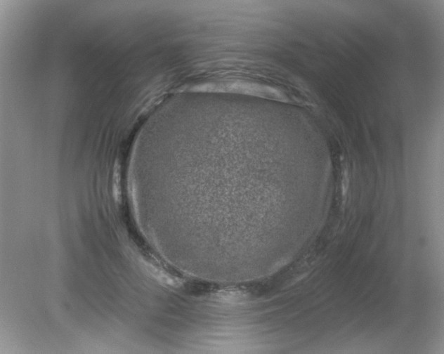 X0000081610696200701291427