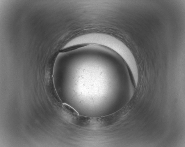 X0000081610697200701291427