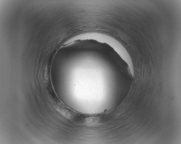 X0000081610700200701291427