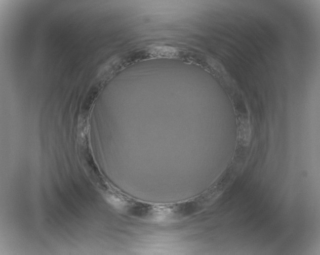 X0000081610701200701291427