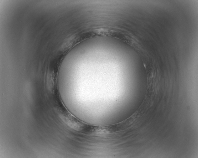 X0000081610702200701291427