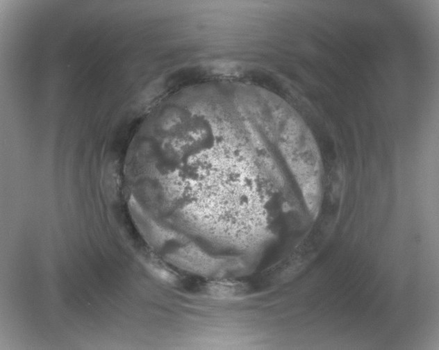 X0000081610707200701291427