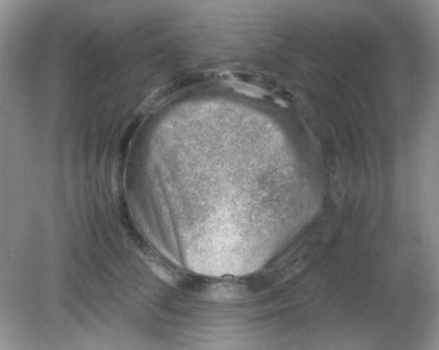 X0000081610708200701291427