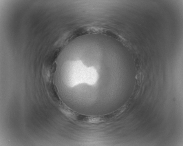 X0000081610709200701291427