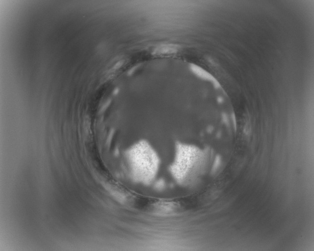 X0000081610711200701291427