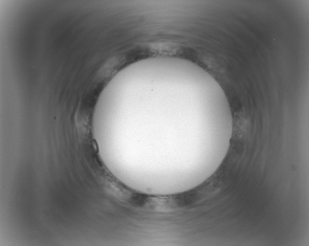 X0000081610713200701291427