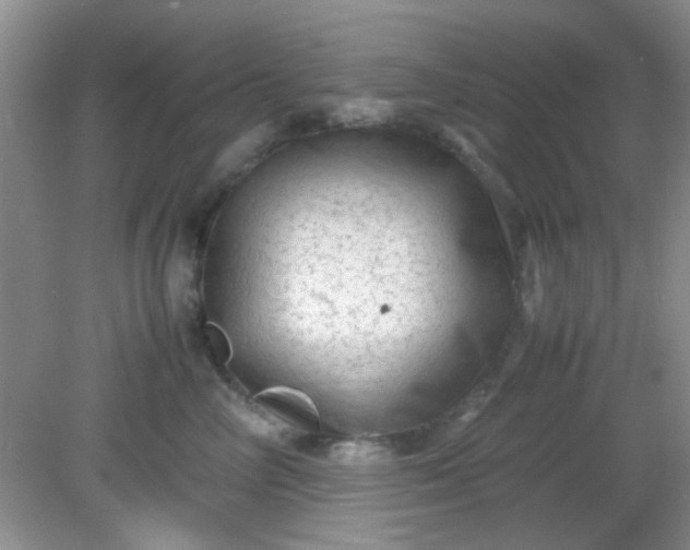 X0000081610714200701291427