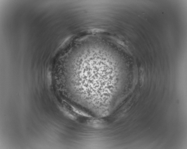 X0000081610716200701291427