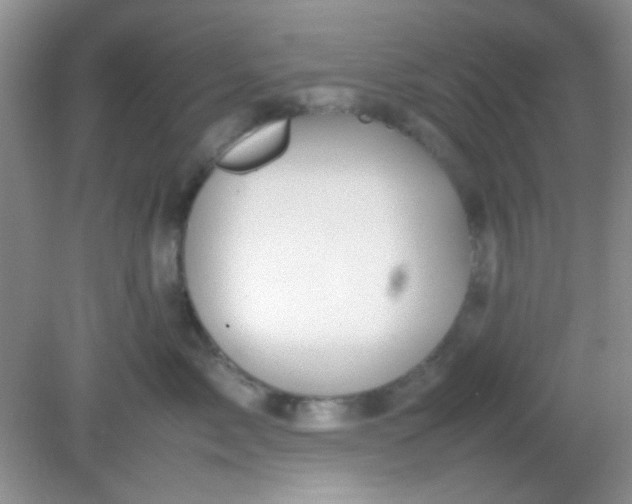 X0000081610717200701291427