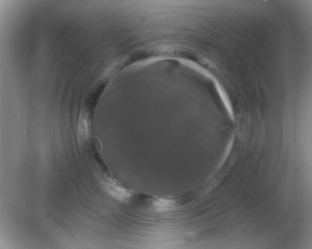 X0000081610718200701291427