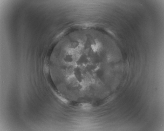 X0000081610719200701291427